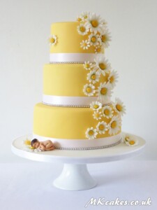 Baby Shower Cake MK Cakes | One-of-a-kind cakes for every occasion