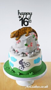 Gecko and cycling Birthday Cake MK Cakes | One-of-a-kind cakes for every occasion