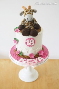 Old plush toy themed Birthday Cake MK Cakes | One-of-a-kind cakes for every occasion