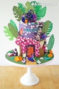 Encanto Cake Encanto Cake